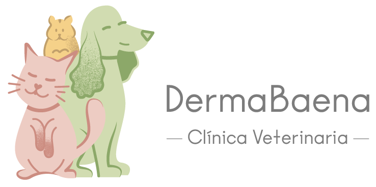 DermaBaena - Clinica Veterinaria